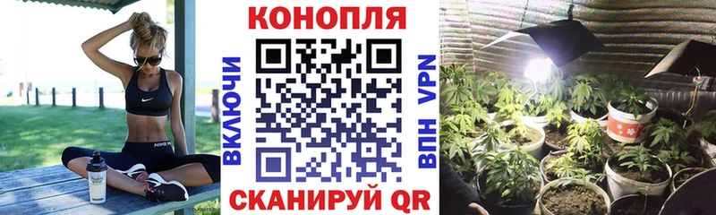 МЕФ Саянск